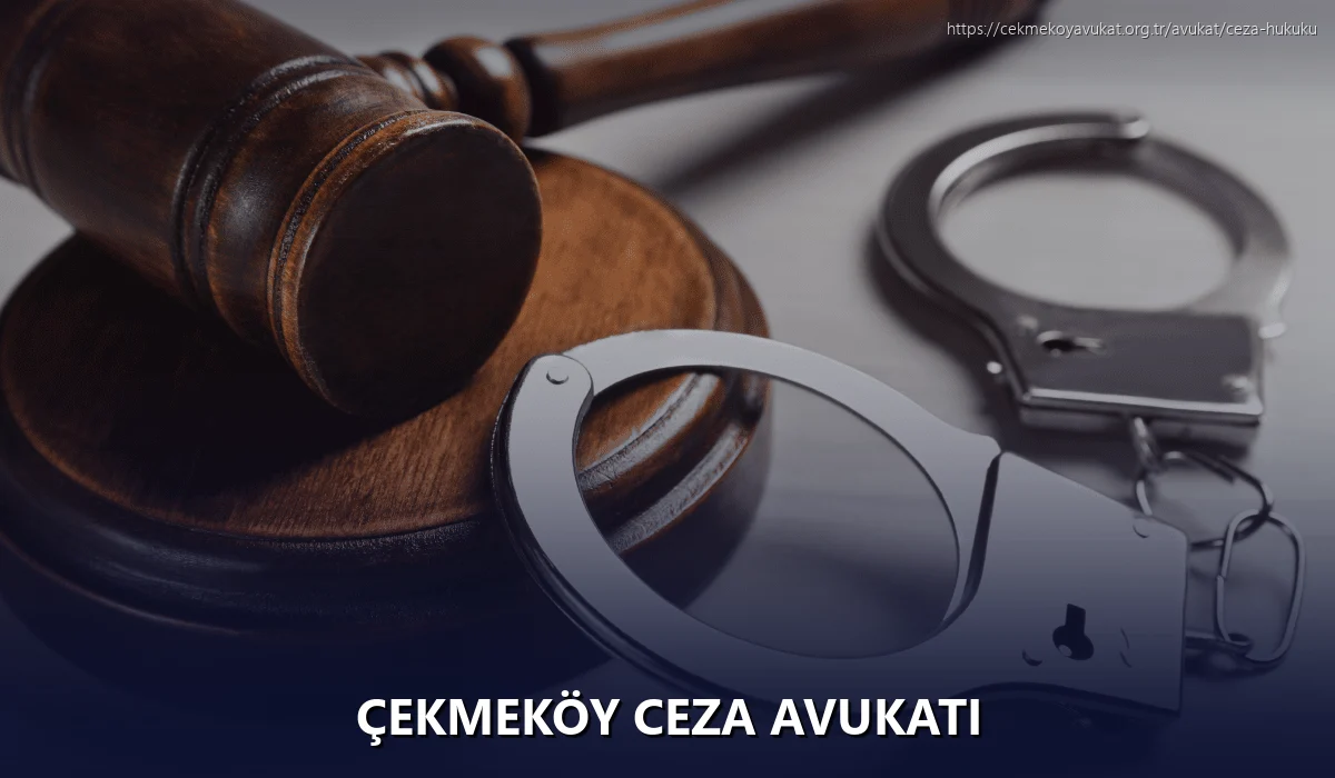 Çekmeköy Ceza Avukatı