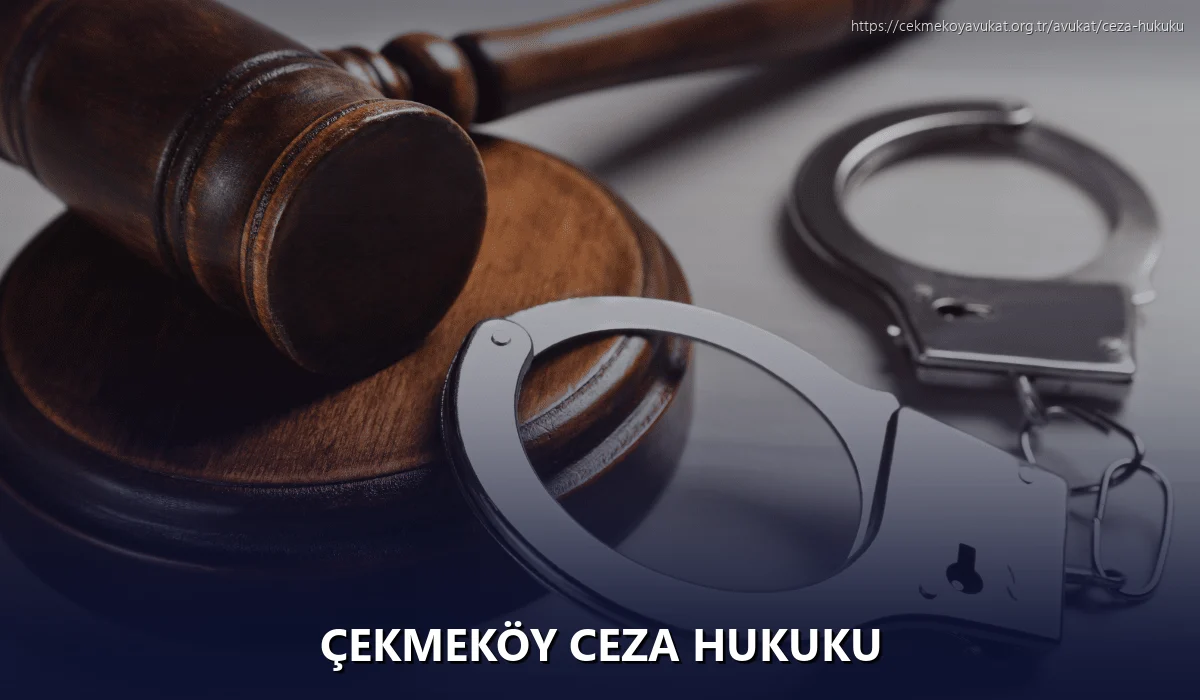 Çekmeköy Ceza Hukuku
